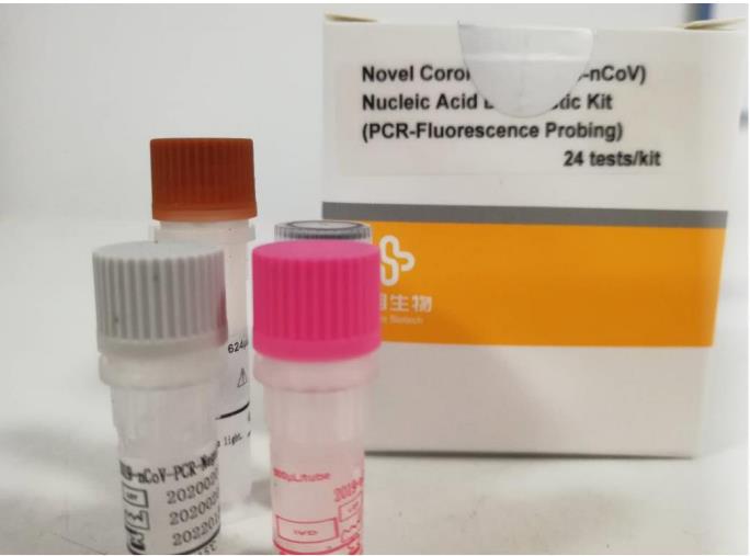 Nucleic acid detection kit