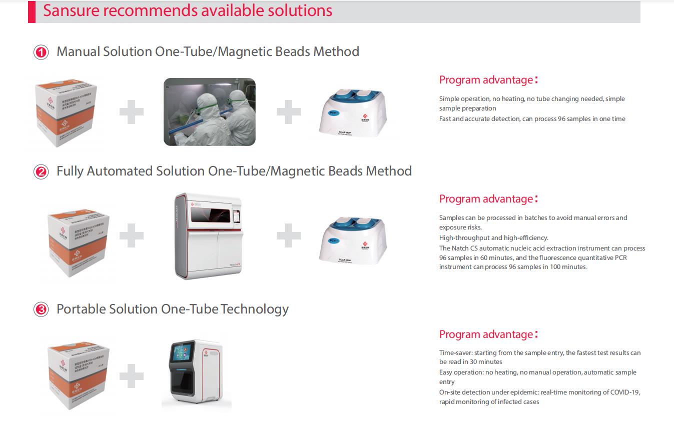 Nucleic Acid Diagnostic Kit