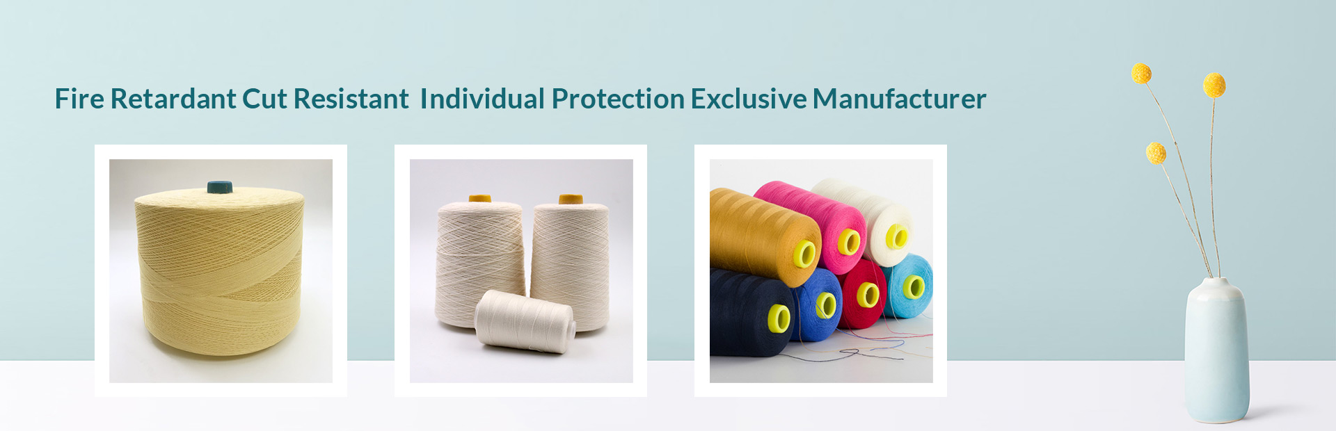 SuZhou Hayxan Protection Technology Co.,Ltd.