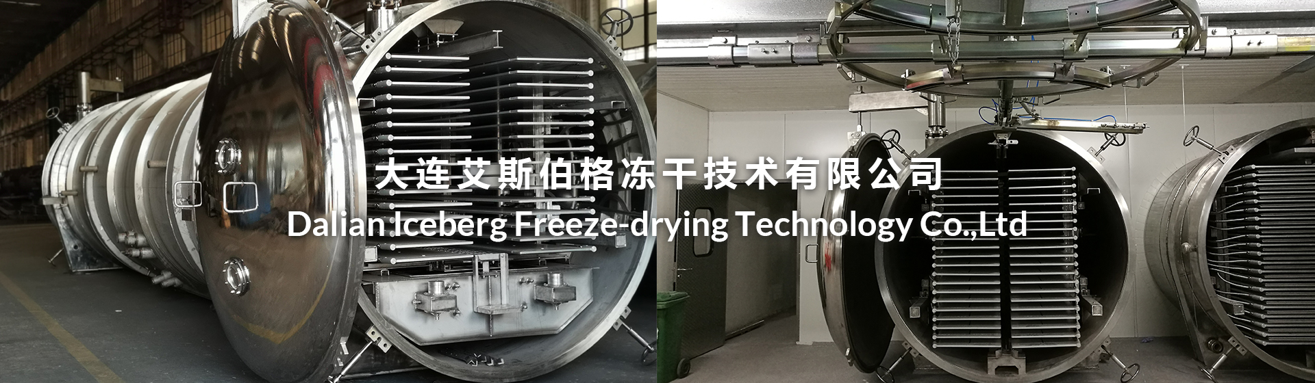 Dalian Iceberg Freeze-dry Technology Co.,Ltd