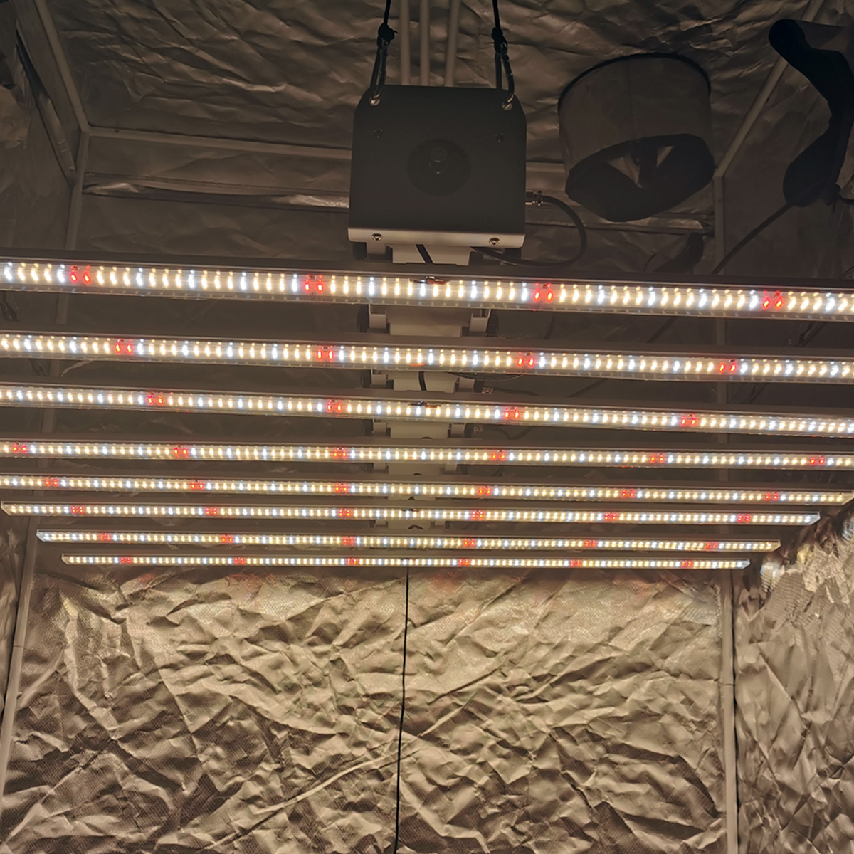Barra de luz de crecimiento LED de 800W