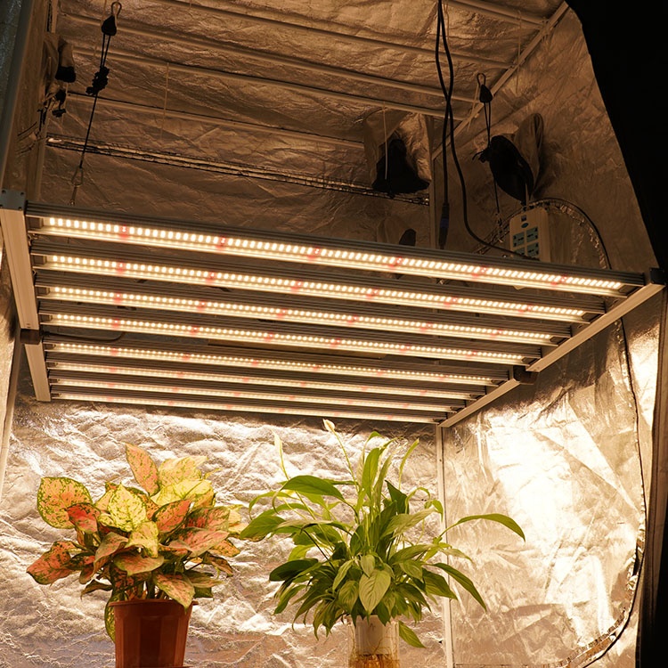 LED Grow Işık 600W