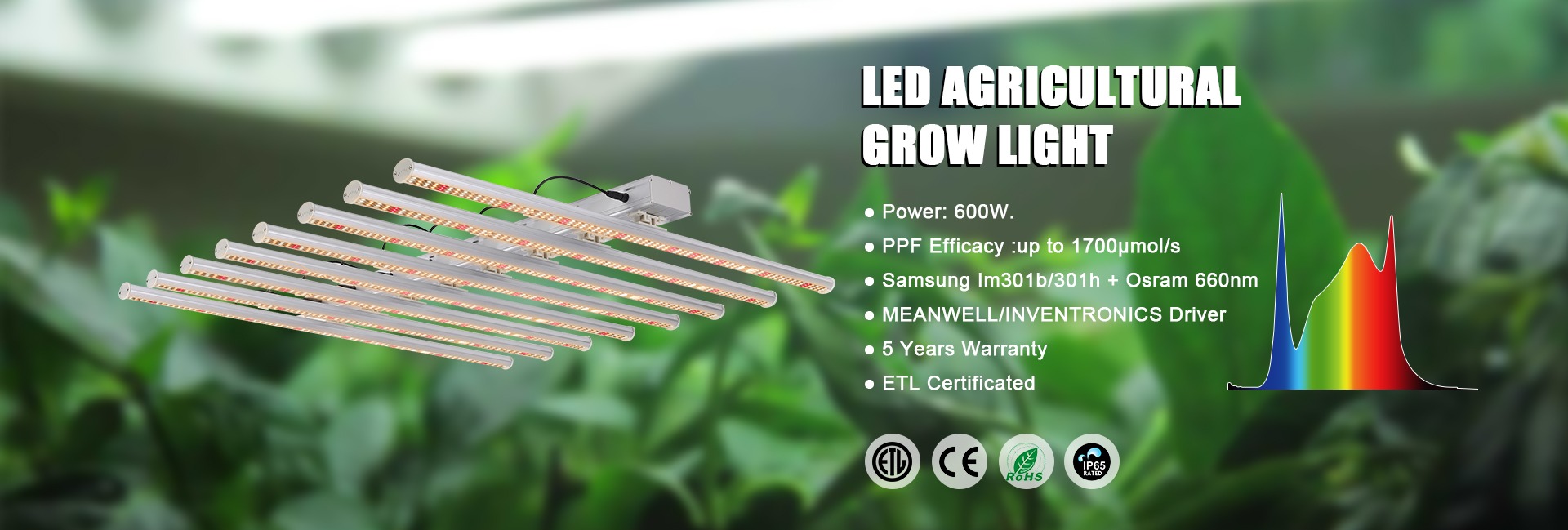 led grow light