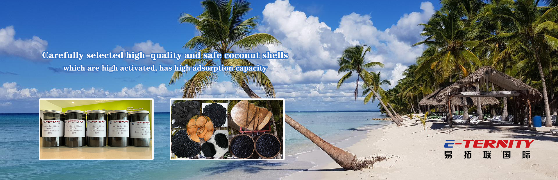 Coconut Shell Activated Carbon