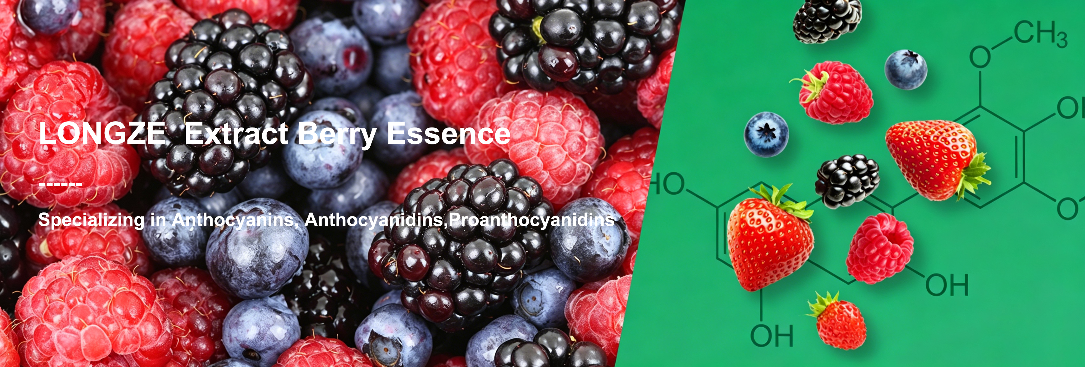 Xi'an Longze Biotechnology Co., Ltd.