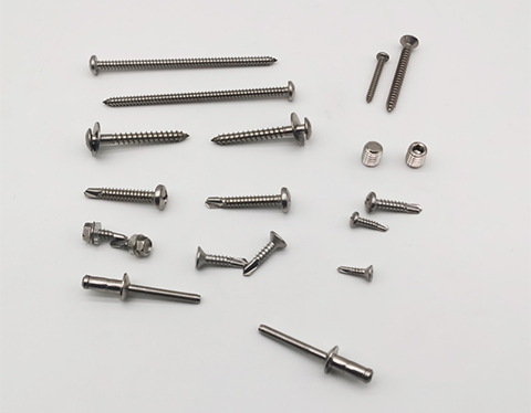 Stainless Steel Screws