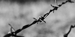 Barbed Wire