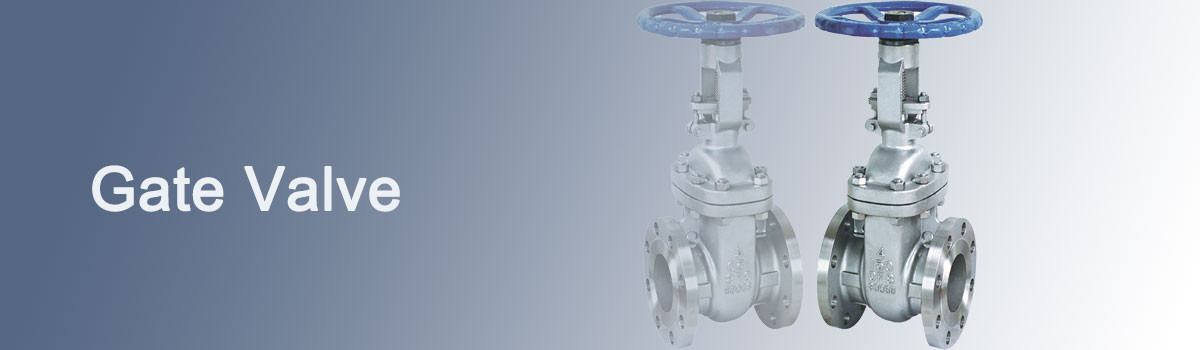 Gate Valve