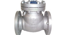 Check Valve