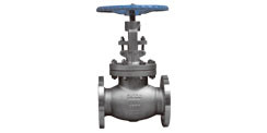 Globe Valve