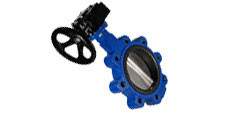 Butterfly Valve