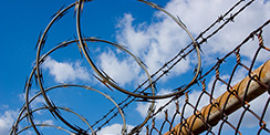 Razor Wire