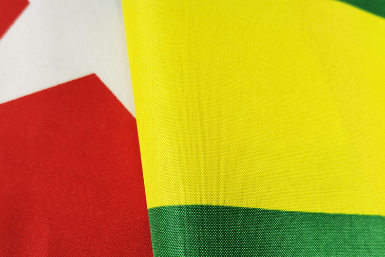 Polyester Togo National Flag