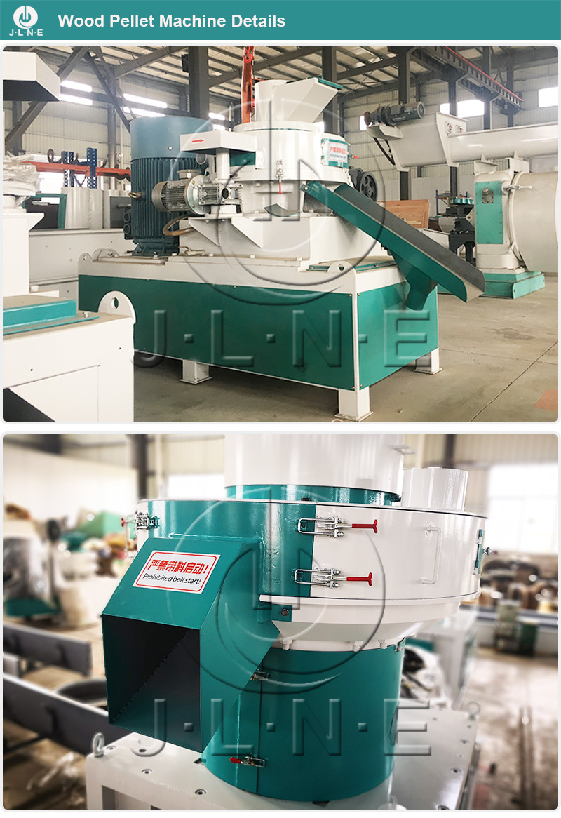 Wood Pelle Mill Biomass Sawdust/Rice Husk/Straw Pellet Machine