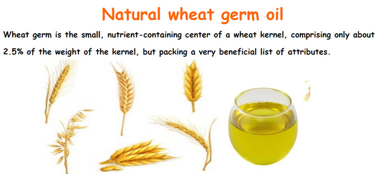 wheat germ oil