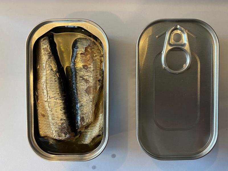 sardine canned