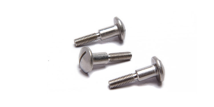 Stainless Steel Slotted Head Step Screw