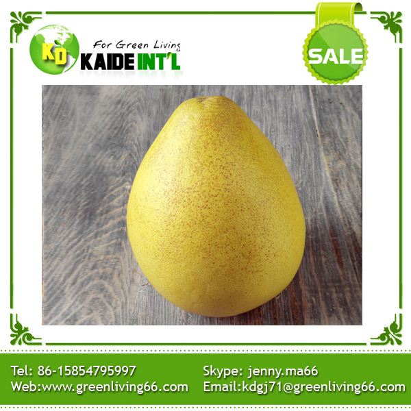 Organic Grapefruit Wholesale