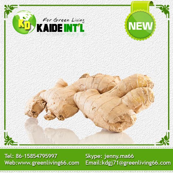 New crop Fresh Ginger