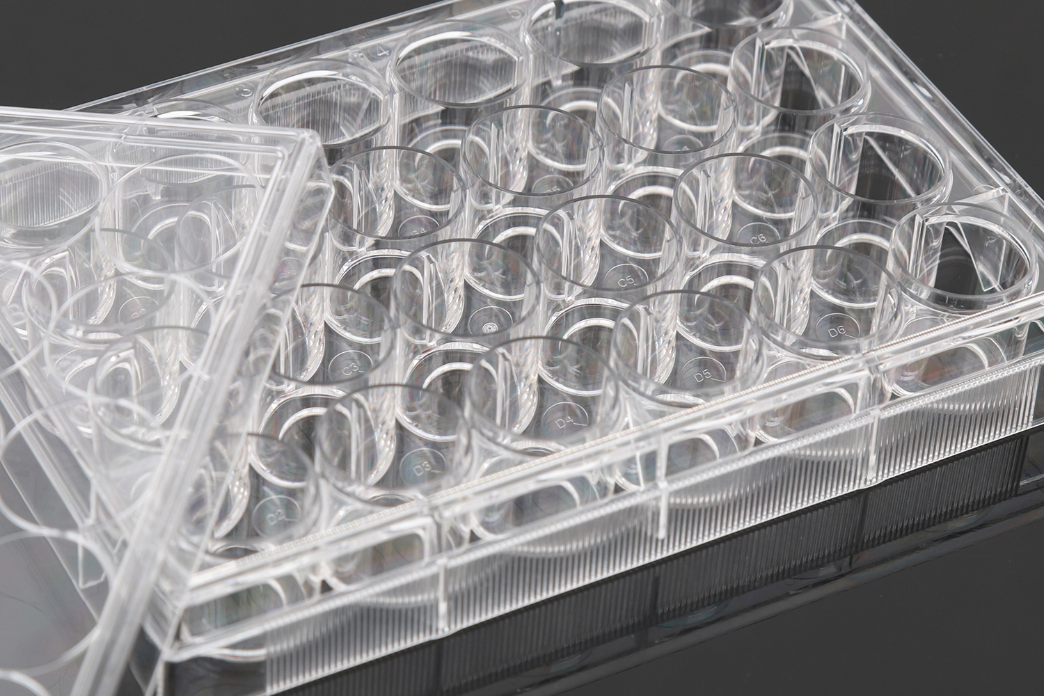 Glass Bottom Cell Culture Plates