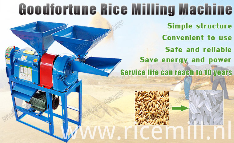 Rice Milling Equipment & Processing Services