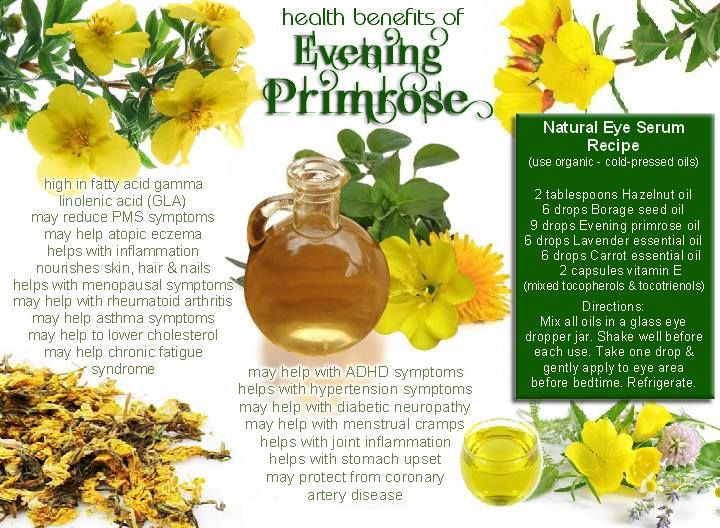 evening primrose oil