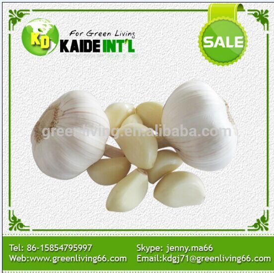 Fresh Garlic With Low Wholesale Price