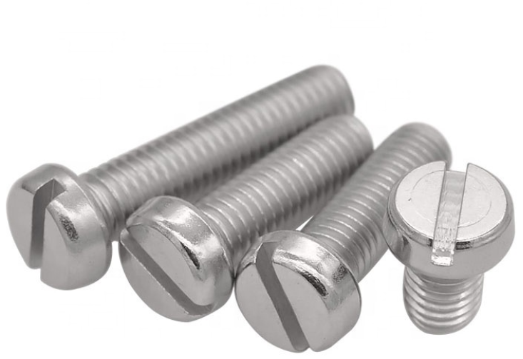 Stainless Steel Slotted Cheese Head Screws