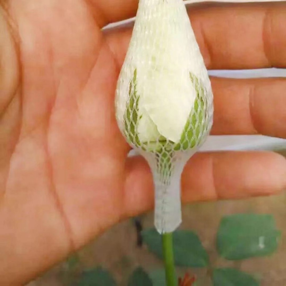 pe flower net pe flower net