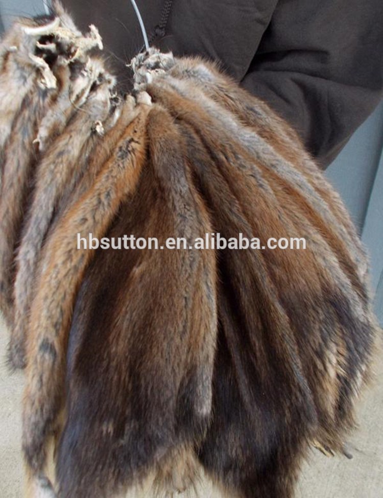 Factory Wholesale Tanned Muskrat Hides Muskrat Pelt For Sale, High