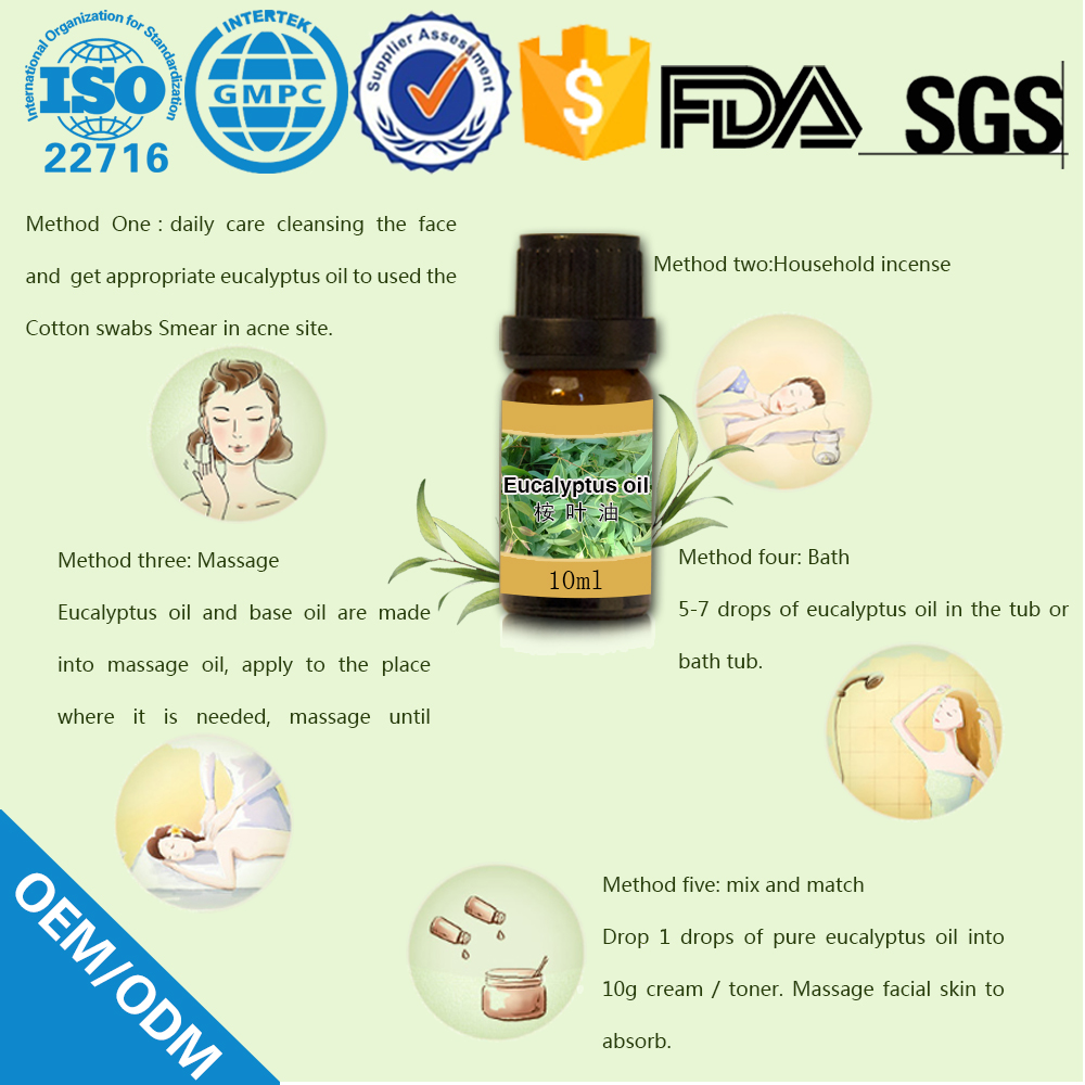 Eucalyptus Oil