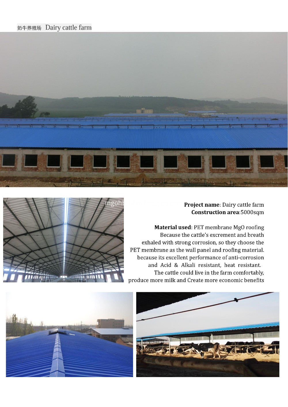 Fireproof MgO Roofing Materials