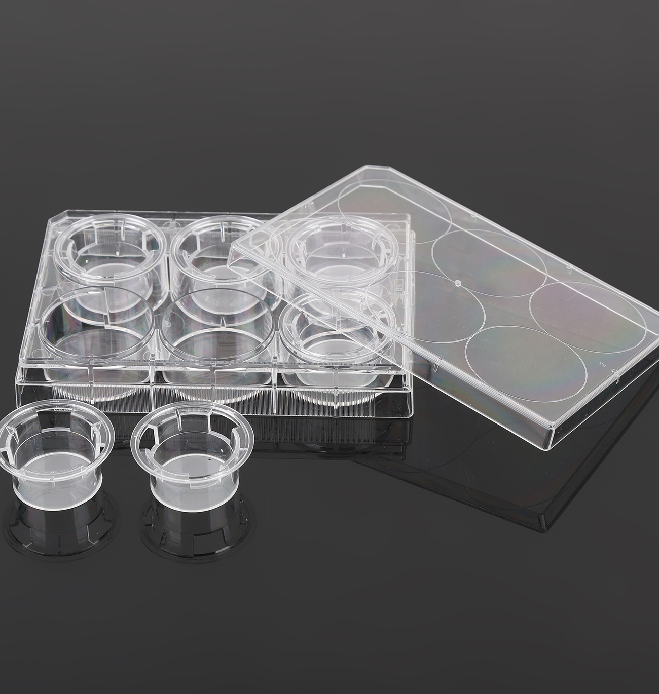 Cell Culture Inserts