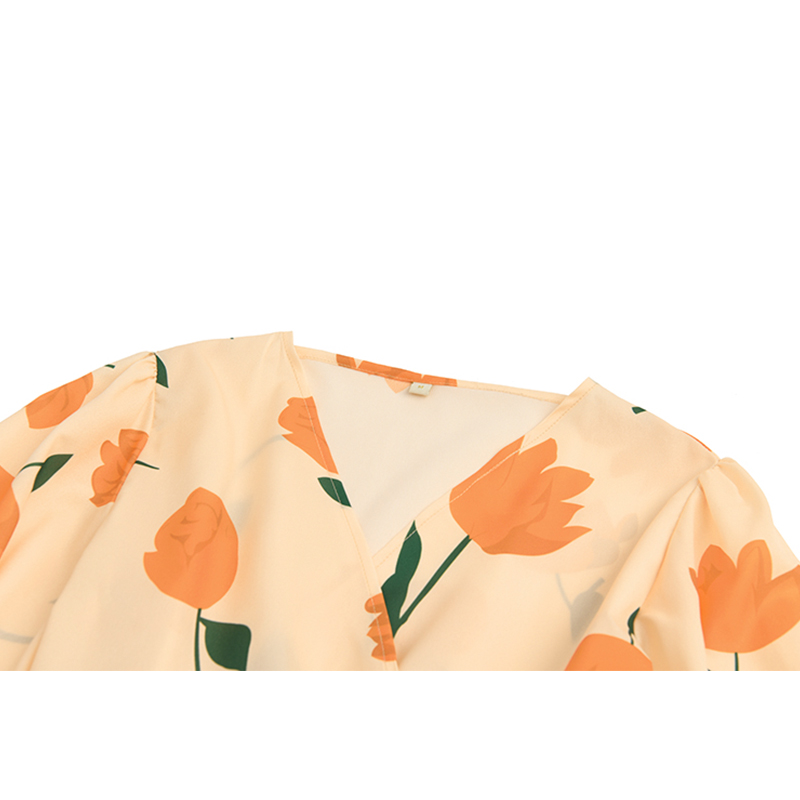 New Design Plus Printed Dress