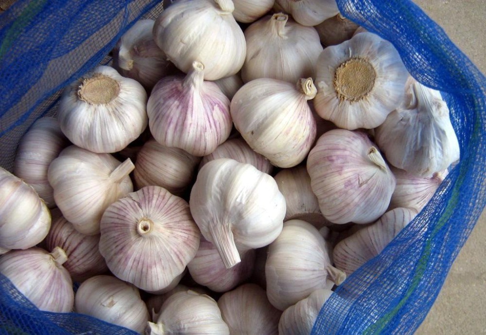 Vacuum packaging peeled garlic