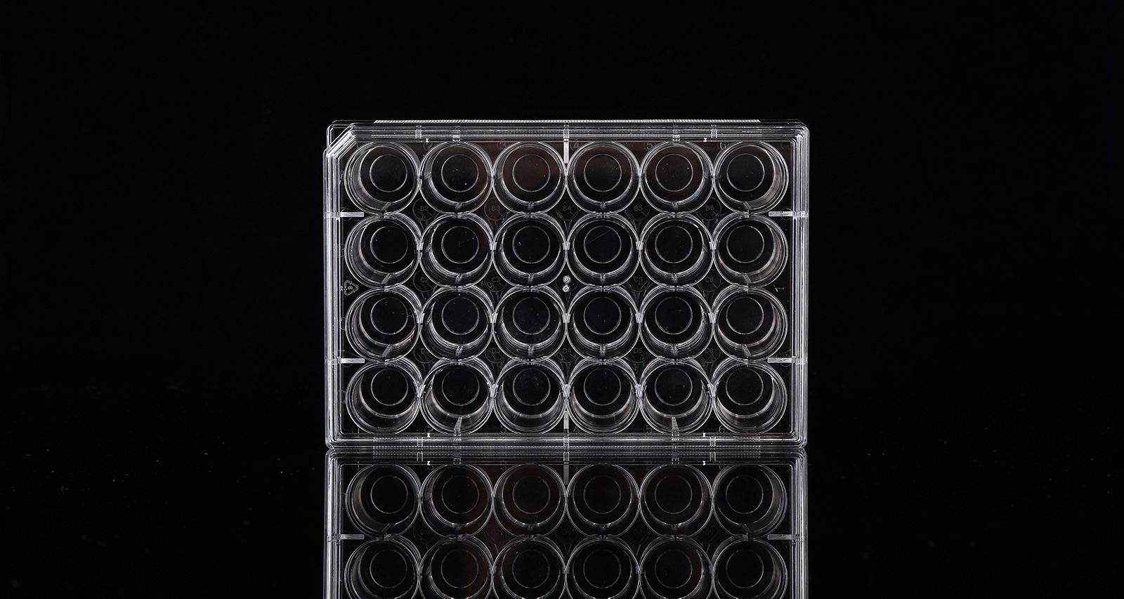 Glass Bottom Cell Culture Plates