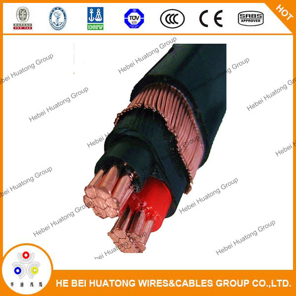 0.6/1kv 1*10AWG+10AWG Annealed Copper Stranded XLPE Insulation PVC Sheath Concentric Cables