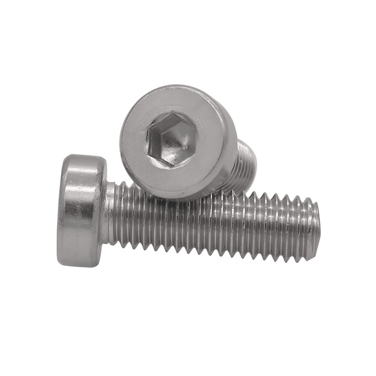 Stainless Steel Hexagon Socket Thin Head Screws