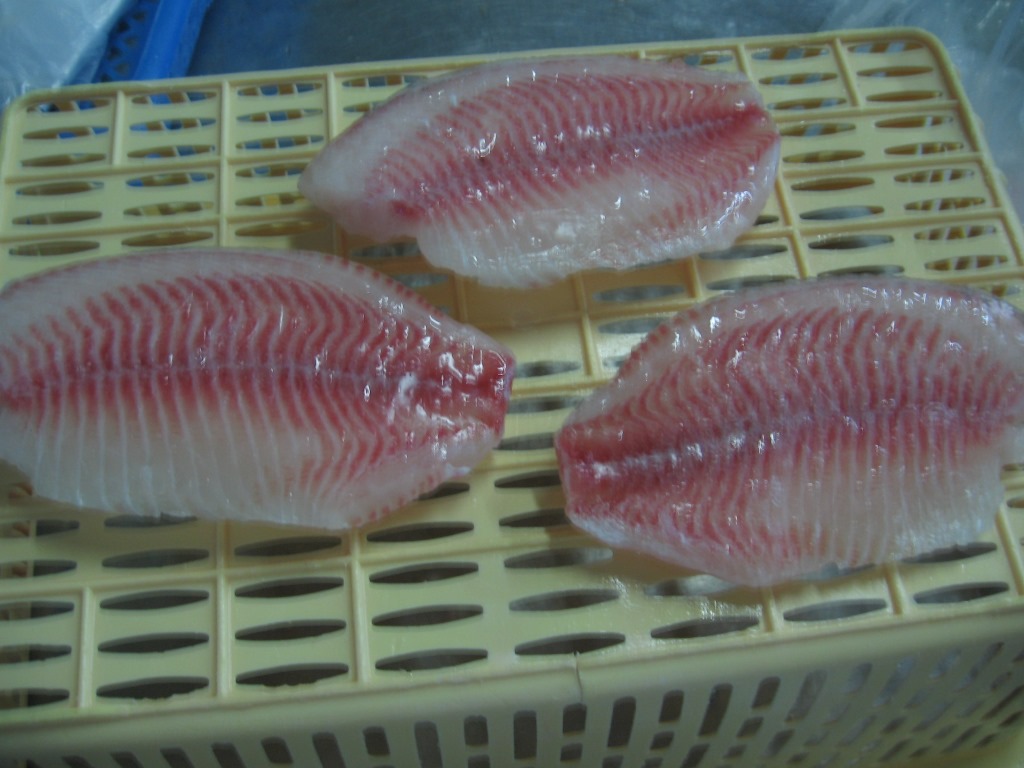 tilapia fillet