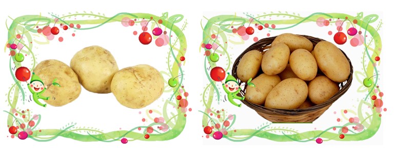 farm fresh potatoes