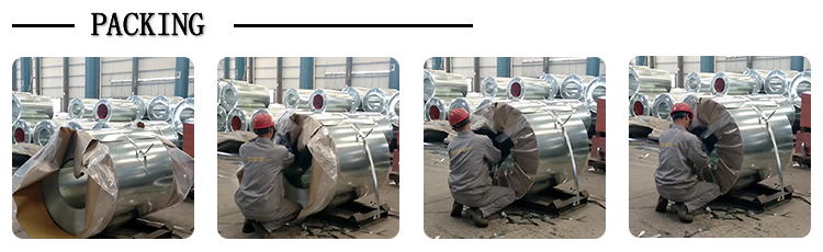 Steel Coil Galvanized