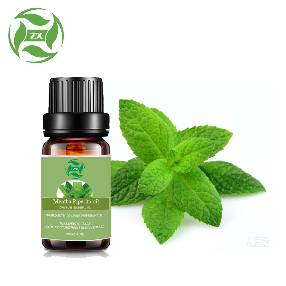 Mentha Piperita essential oil Peppermint oil