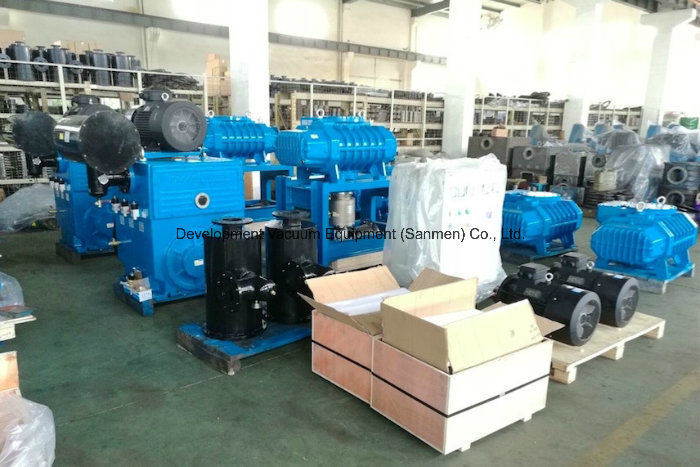 Vacuum Metallurgy Rotary Plunger Pumps