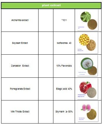 High Quality Chamomile Extract Apigenin Powder