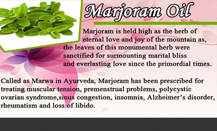 Marjoram Oil 