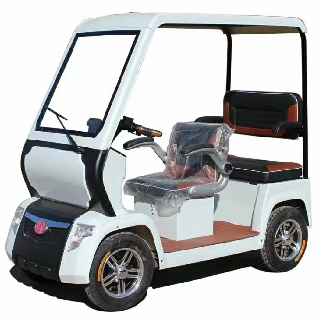 Electric Tourist Car