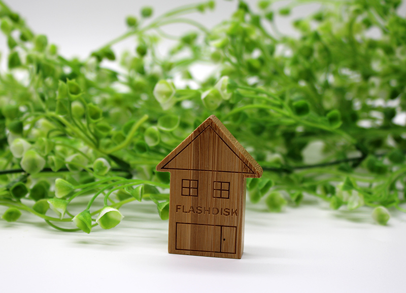 House Usb Flash Drive