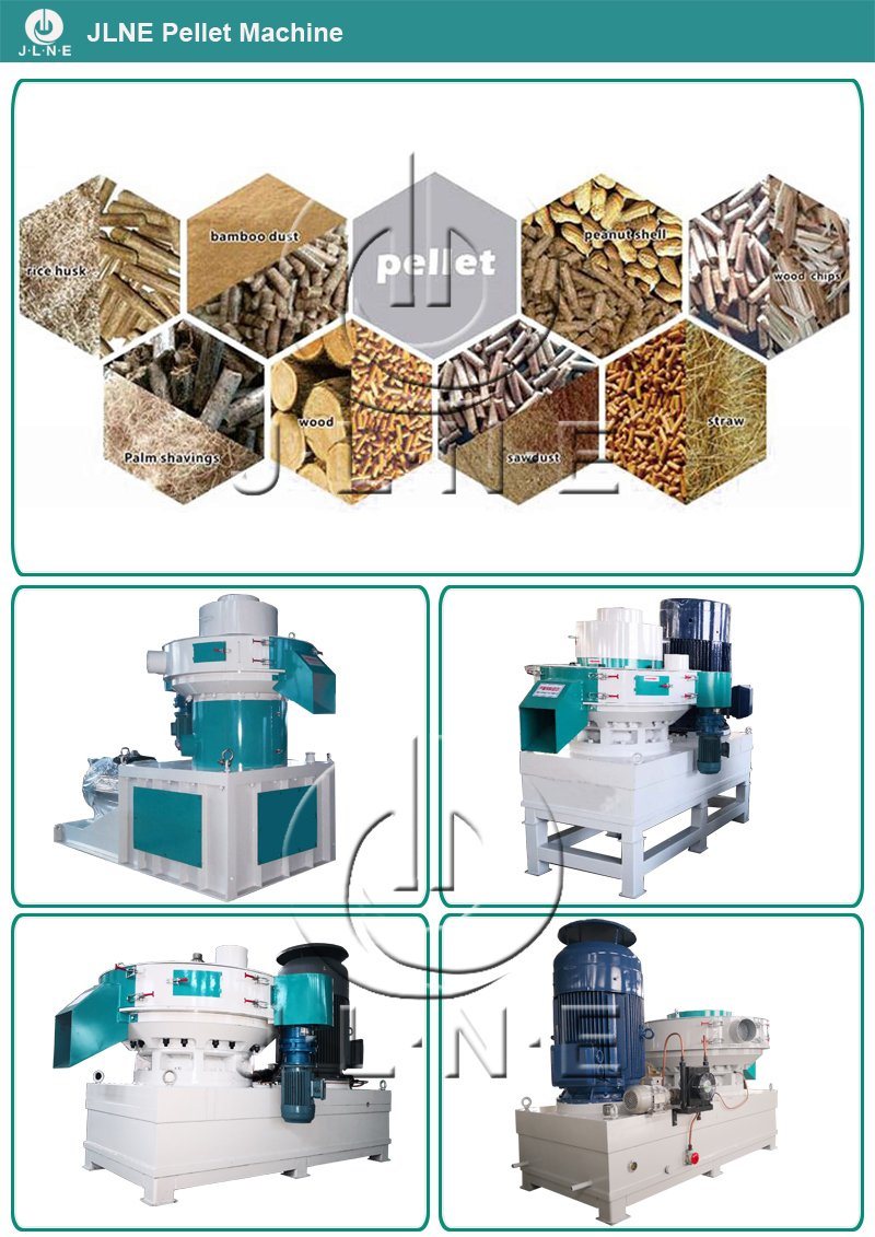 Wood Pelle Mill Biomass Sawdust/Rice Husk/Straw Pellet Machine