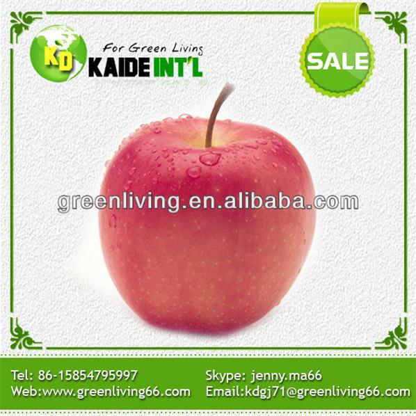 Big Size Gala Apple Fruit