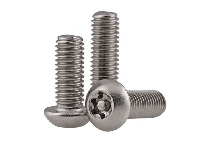 Stainless Steel Security Screw